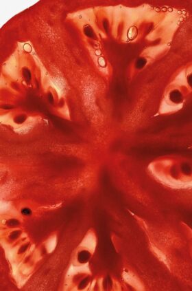 Gel de Limpeza para as Mãos com Folhas de tomate