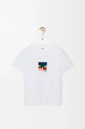 Camisas de corte regular em algodão