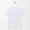 Camisas de corte regular em algodão Camisas de corte regular em algodão