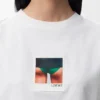 Camisas de corte regular em algodão Camisas de corte regular em algodão