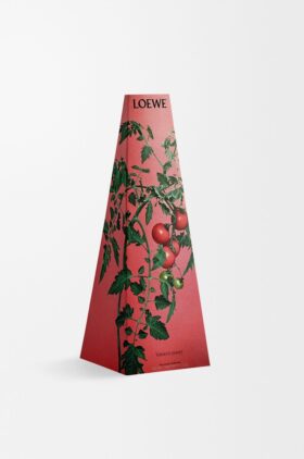 Castiçal de cera «Folhas de tomate»