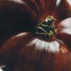 Castiçal de cera «Folhas de tomate» Castiçal de cera «Folhas de tomate»
