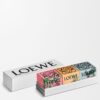 Conjunto de Descoberta de Velas Conjunto de Descoberta de Velas