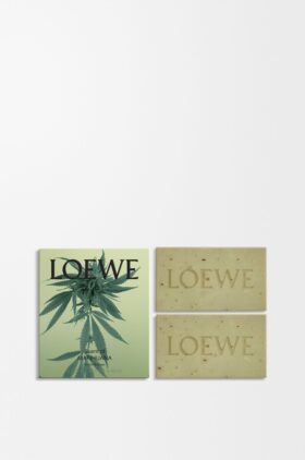 Conjunto de dois sabonetes com aroma a Scent of Marihuana