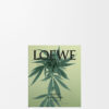 Conjunto de dois sabonetes com aroma a Scent of Marihuana Conjunto de dois sabonetes com aroma a Scent of Marihuana