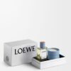 Conjunto de Presente LOEWE Perfumes para a casa Bolas de cipreste Conjunto de Presente LOEWE Perfumes para a casa Bolas de cipreste