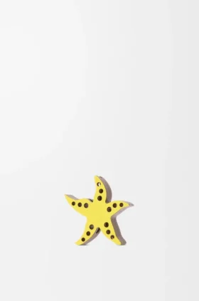 Dado em forma de estrela-do-mar em pele de bezerro Dado em forma de estrela-do-mar em pele de bezerro