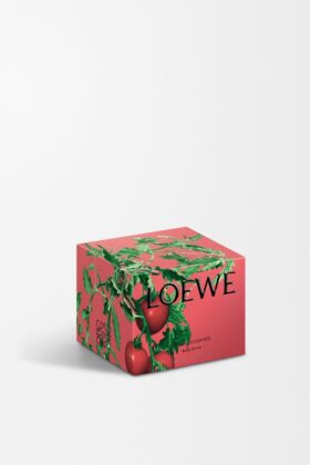 Esfoliante corporal Folhas de tomate