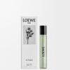 Loewe Aire Sutileza frasco de 15 ml Loewe Aire Sutileza frasco de 15 ml