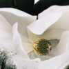 Loewe Aura White Magnolia 100 ml Loewe Aura White Magnolia 100 ml