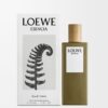 Loewe Esencia EDT 50 ml Loewe Esencia EDT 50 ml
