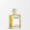 loewe Wild Coffee EDP 100 ml loewe Wild Coffee EDP 100 ml