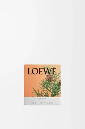 Pequena vela com bolas de cipreste