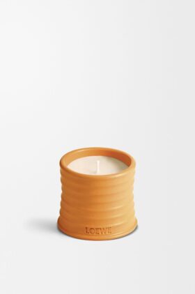 Pequena vela de flor de laranjeira Pequena vela de flor de laranjeira