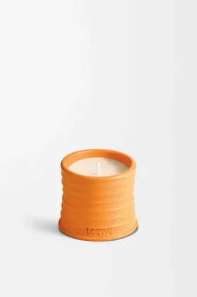 Pequena vela de flor de laranjeira