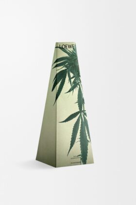 Porta-velas com Scent of Marihuana Porta-velas com Scent of Marihuana