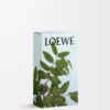 Spray de ambiente com aroma a incenso Spray de ambiente com aroma a incenso