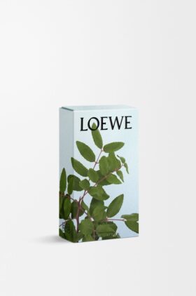 Spray de ambiente com aroma a incenso