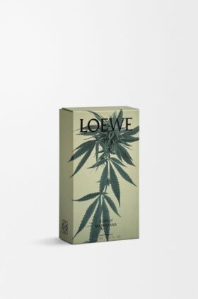 Spray de ambiente com aroma a Marihuana Spray de ambiente com aroma a Marihuana