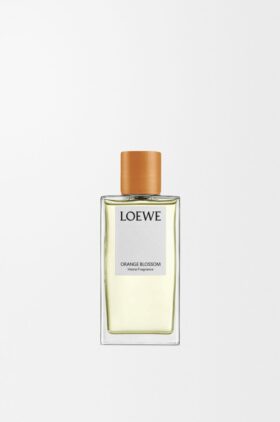 Spray de ambiente «Flor de laranjeira» Spray de ambiente «Flor de laranjeira»