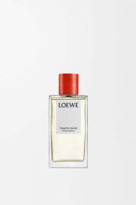 Spray de ambiente Folhas de tomate