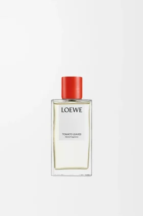 Spray de ambiente «Folhas de tomate»