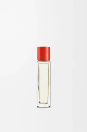 Spray de ambiente «Folhas de tomate»