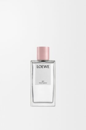 Spray de ambiente Ivy