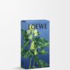 Spray de ambiente Ivy Spray de ambiente Ivy