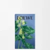 Spray de ambiente Ivy Spray de ambiente Ivy