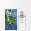 Spray de ambiente Ivy Spray de ambiente Ivy