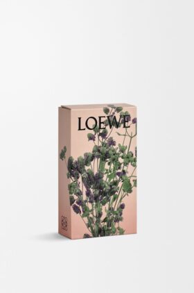 Spray de ambiente para ambientes de orégãos