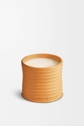 Vela de Flor de laranjeira Média Vela de Flor de laranjeira Média