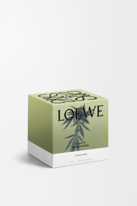 Vela de Maconha Média Vela de Maconha Média