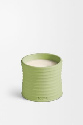 Vela de Pepino Média Vela de Pepino Média
