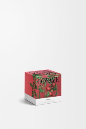 Vela «Folhas de tomate»