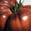Spray de ambiente Folhas de tomate Spray de ambiente Folhas de tomate