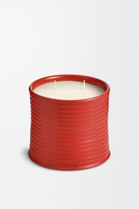 Vela «Folhas de tomate grandes»