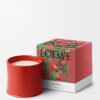 Vela «Folhas de tomate grandes» Vela «Folhas de tomate grandes»