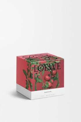 Vela «Folhas de tomate» (tamanho médio)