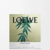 Vela grande com Scent of Marihuana Vela grande com Scent of Marihuana
