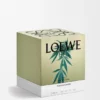 Vela grande com Scent of Marihuana Vela grande com Scent of Marihuana