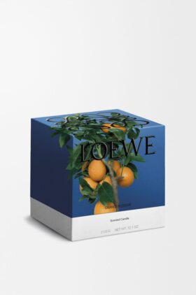 Vela Grande de Flor de laranjeira Vela Grande de Flor de laranjeira