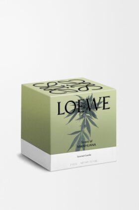 Vela Grande de Maconha Vela Grande de Maconha
