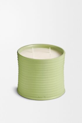Vela Grande de Pepino Vela Grande de Pepino