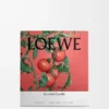 Vela Grande «Folhas de tomate» Vela Grande «Folhas de tomate»