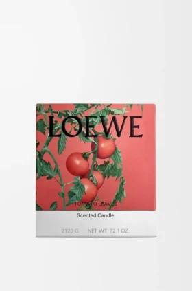 Vela Grande «Folhas de tomate»