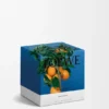 Vela Média de Flor de laranjeira Vela Média de Flor de laranjeira