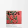 Vela Média «Folhas de tomate» Vela Média «Folhas de tomate»