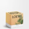 Vela «Medium Bolas de cipreste» Vela «Medium Bolas de cipreste»